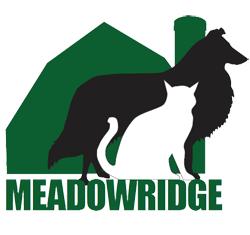 Meadowridge Veterinary Hospital - Serving Ithaca, Lansing, Genoa, Kings  Ferry, Groton and Locke